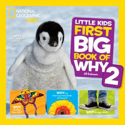 National Geographic Little Kids First Big Book of Why 2