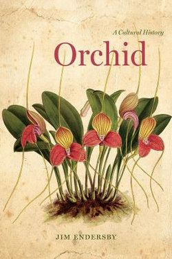 Orchid