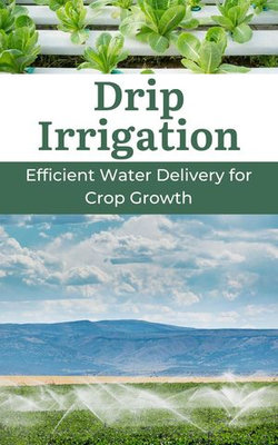 Drip Irrigation : Efficient Water Delivery for Crop Growth