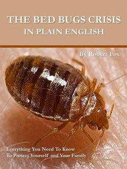 The Bed Bugs Crisis In Plain English: What It Means To You