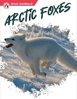 Wild Animals: Arctic Foxes