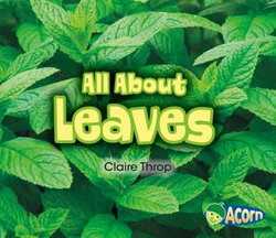 All About Leaves