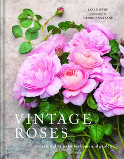 Vintage Roses