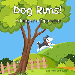 Dog Runs!: A Journey of Opposites