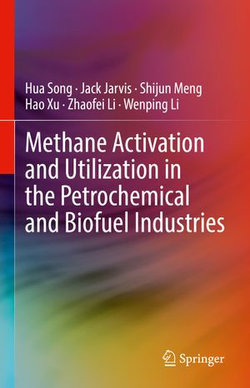 Methane Activation and Utilization in the Petrochemical and Biofuel Industries