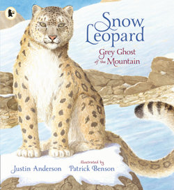 Snow Leopard: Grey Ghost of the Mountain