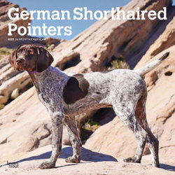 German Shorthaired Pointers 2025 12 X 24 Inch Monthly Square Wall Calendar Plastic-Free