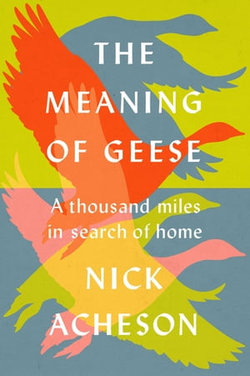 The Meaning of Geese