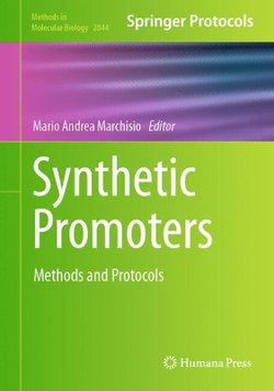 Synthetic Promoters