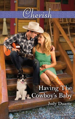 Having The Cowboy's Baby