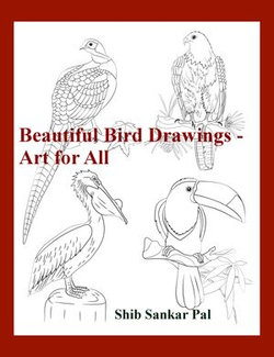 Beautiful Bird Drawings
