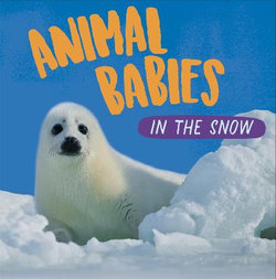 Animal Babies: in the Snow