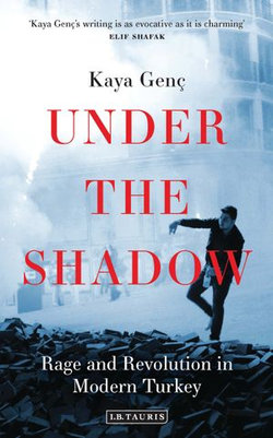 Under the Shadow