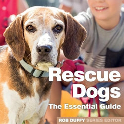 Rescue Dogs