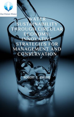 Water Sustainability through Circular Economy: Innovative Strategies for Management and Conservation