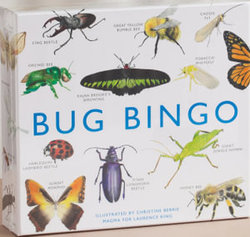 Bug Bingo