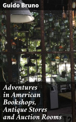 Adventures in American Bookshops, Antique Stores and Auction Rooms