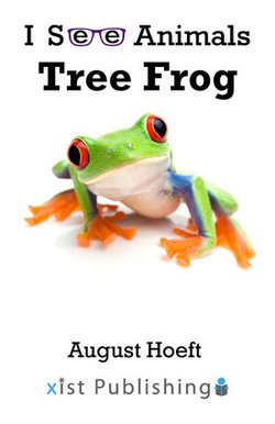 Tree Frog