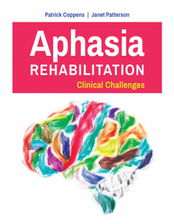 Aphasia Rehabilitation: Clinical Challenges