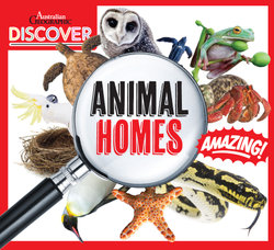 Discover Animal Homes