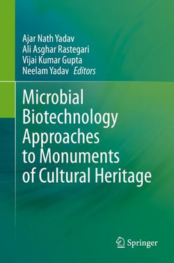 Microbial Biotechnology Approaches to Monuments of Cultural Heritage