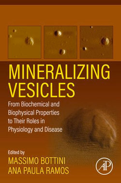 Mineralizing Vesicles