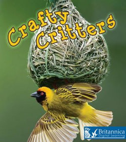 Crafty Critters