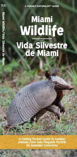 Miami Wildlife (Bilingual)