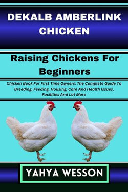 DEKALB AMBERLINK CHICKEN Raising Chickens For Beginners