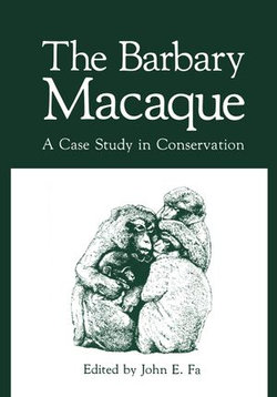 The Barbary Macaque