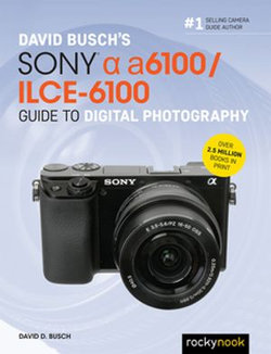 David Busch’s Sony Alpha a6100/ILCE-6100 Guide to Digital Photography