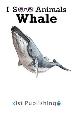 Whale