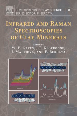 Infrared and Raman Spectroscopies of Clay Minerals