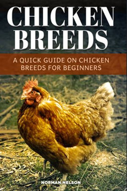 Chicken Breeds