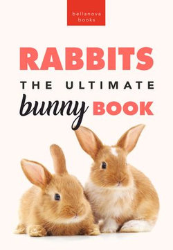 Rabbits The Ultimate Bunny Book