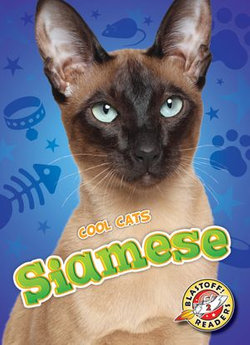 Siamese