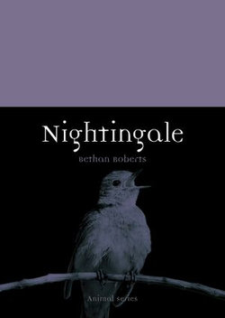 Nightingale