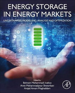 Energy Storage in Energy Markets