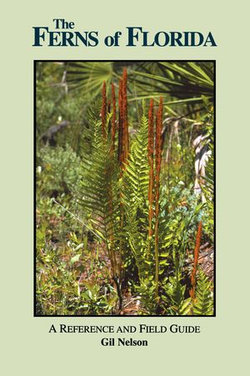 The Ferns of Florida