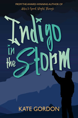 Indigo in the Storm