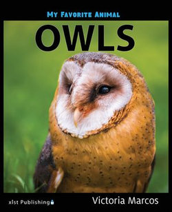 My Favorite Animal: Owls
