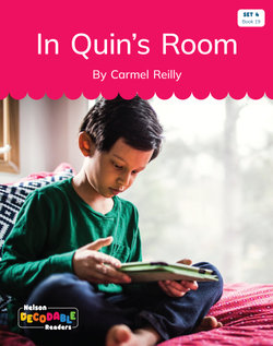 In Quin's Room (Set 4, Book 19)