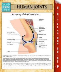 Human Joints