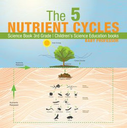 The 5 Nutrient Cycles - Science Book 3rd Grade | Children's Science Education books