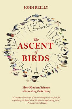 The Ascent of Birds