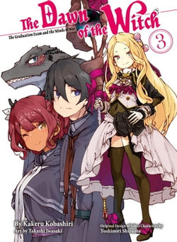 The Dawn of the Witch 3 (light novel)