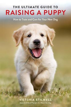 The Ultimate Guide to Raising a Puppy