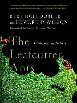 The Leafcutter Ants: Civilization by Instinct