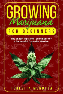 Growing Marijuana for Beginners