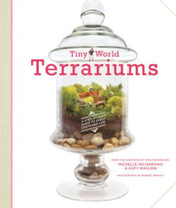 Tiny World Terrariums